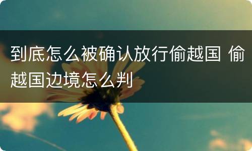 到底怎么被确认放行偷越国 偷越国边境怎么判