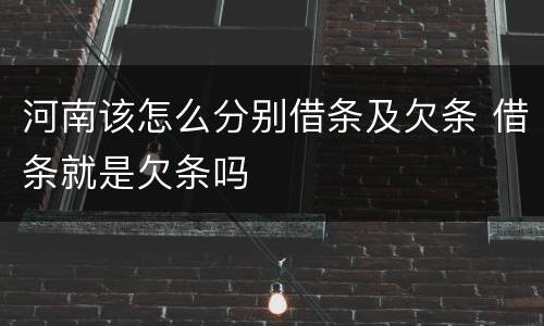 河南该怎么分别借条及欠条 借条就是欠条吗