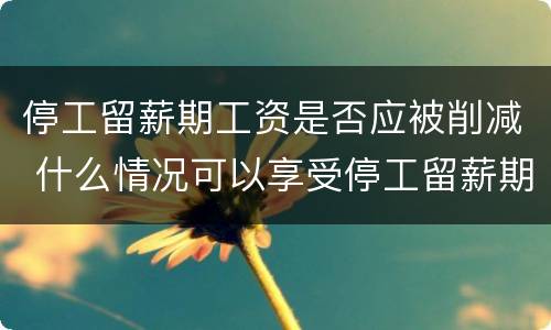 停工留薪期工资是否应被削减 什么情况可以享受停工留薪期
