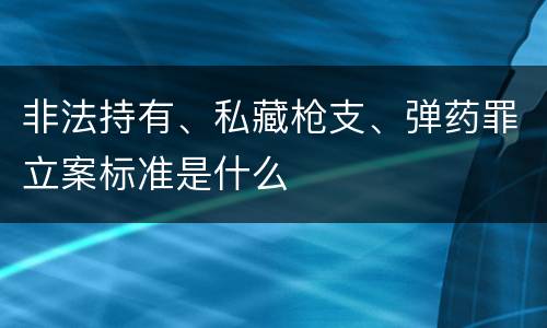 非法持有、私藏枪支、弹药罪立案标准是什么
