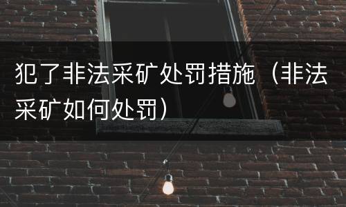 犯了非法采矿处罚措施（非法采矿如何处罚）