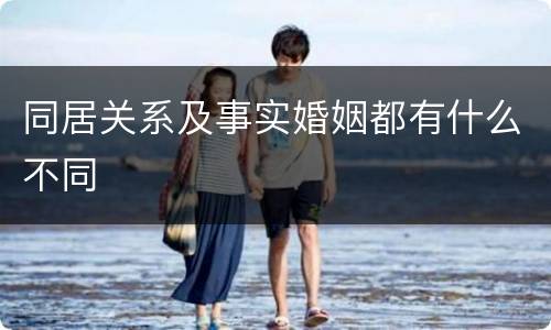 同居关系及事实婚姻都有什么不同
