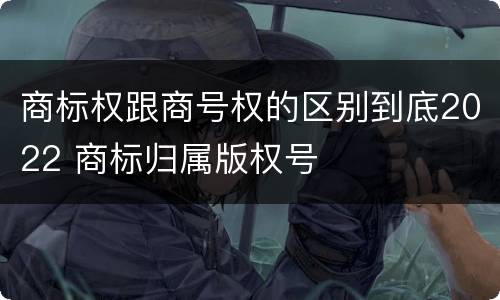 商标权跟商号权的区别到底2022 商标归属版权号