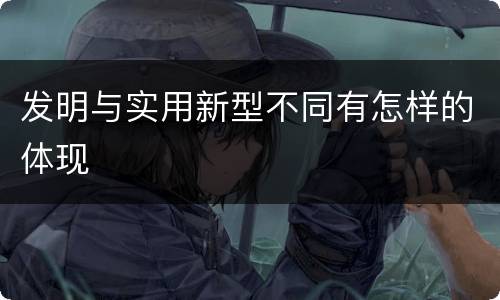 发明与实用新型不同有怎样的体现