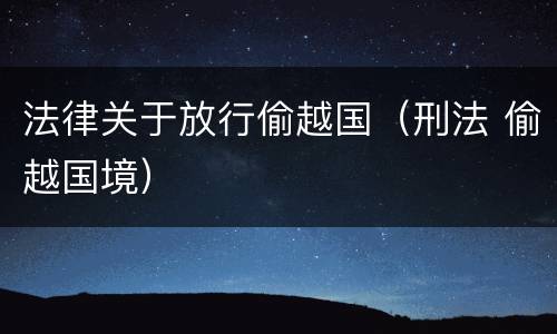 法律关于放行偷越国（刑法 偷越国境）