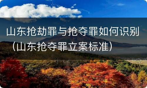 山东抢劫罪与抢夺罪如何识别（山东抢夺罪立案标准）