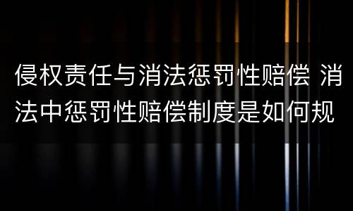 侵权责任与消法惩罚性赔偿 消法中惩罚性赔偿制度是如何规定的