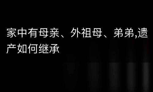 家中有母亲、外祖母、弟弟,遗产如何继承