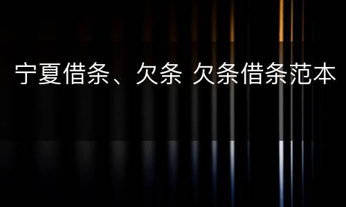 宁夏借条、欠条 欠条借条范本