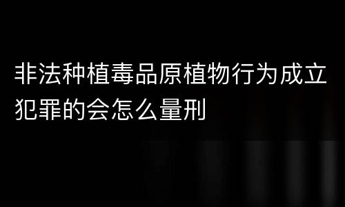 非法种植毒品原植物行为成立犯罪的会怎么量刑
