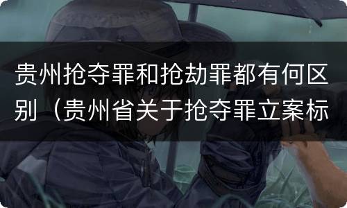 贵州抢夺罪和抢劫罪都有何区别（贵州省关于抢夺罪立案标准）