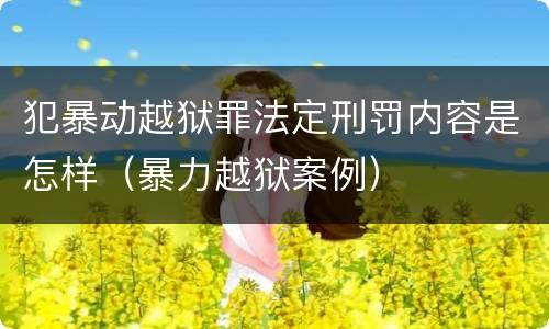 犯暴动越狱罪法定刑罚内容是怎样（暴力越狱案例）
