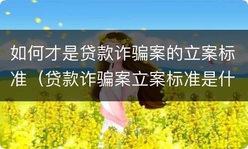 如何才是贷款诈骗案的立案标准（贷款诈骗案立案标准是什么）