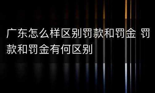 广东怎么样区别罚款和罚金 罚款和罚金有何区别