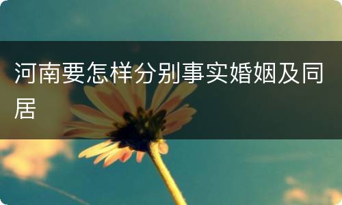 河南要怎样分别事实婚姻及同居