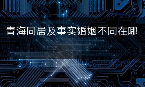 青海同居及事实婚姻不同在哪
