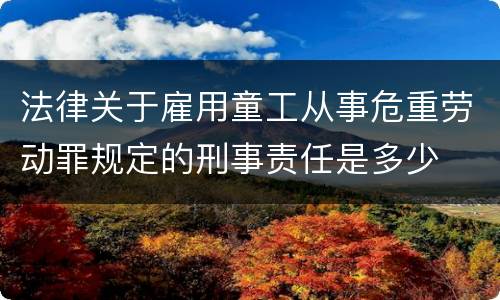 法律关于雇用童工从事危重劳动罪规定的刑事责任是多少