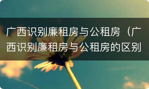 广西识别廉租房与公租房（广西识别廉租房与公租房的区别）