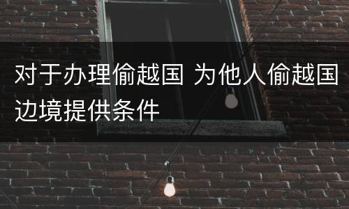 对于办理偷越国 为他人偷越国边境提供条件