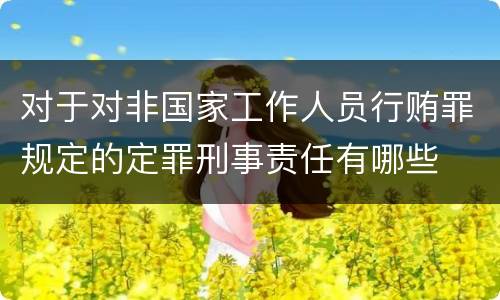 对于对非国家工作人员行贿罪规定的定罪刑事责任有哪些