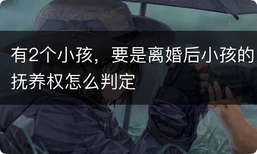 有2个小孩，要是离婚后小孩的抚养权怎么判定