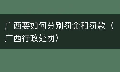 广西要如何分别罚金和罚款（广西行政处罚）