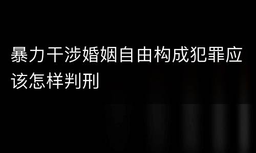 暴力干涉婚姻自由构成犯罪应该怎样判刑
