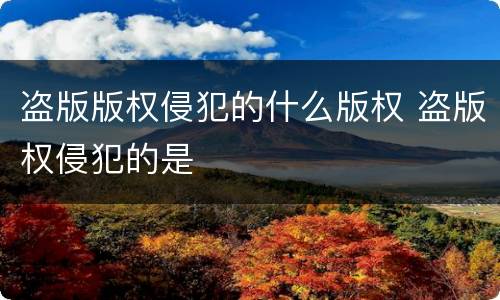 盗版版权侵犯的什么版权 盗版权侵犯的是