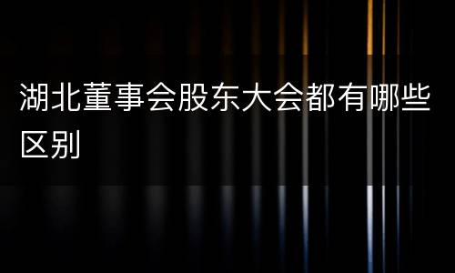湖北董事会股东大会都有哪些区别