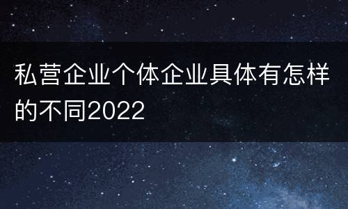 私营企业个体企业具体有怎样的不同2022