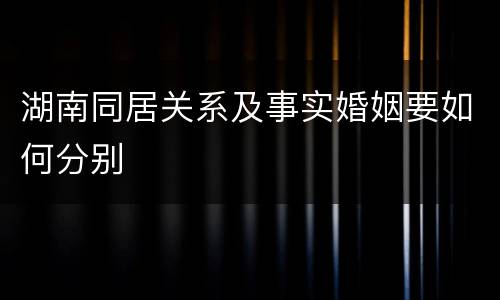 湖南同居关系及事实婚姻要如何分别