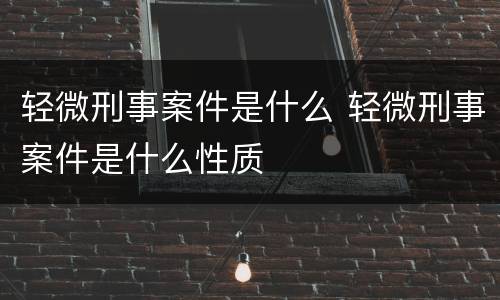 轻微刑事案件是什么 轻微刑事案件是什么性质