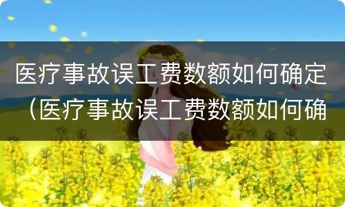 医疗事故误工费数额如何确定（医疗事故误工费数额如何确定赔偿）