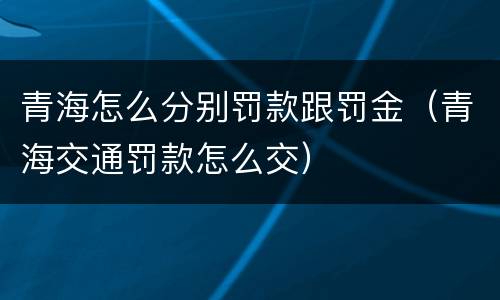 青海怎么分别罚款跟罚金（青海交通罚款怎么交）