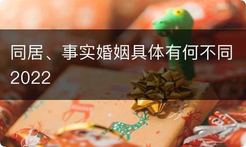 同居、事实婚姻具体有何不同2022