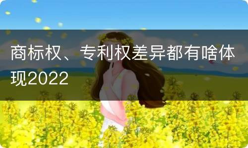 商标权、专利权差异都有啥体现2022