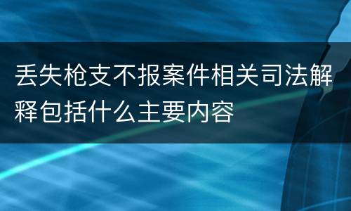 丢失枪支不报案件相关司法解释包括什么主要内容