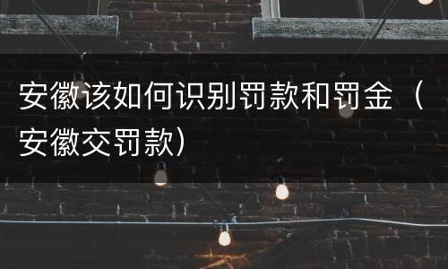 安徽该如何识别罚款和罚金（安徽交罚款）