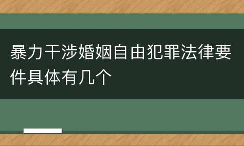 暴力干涉婚姻自由犯罪法律要件具体有几个