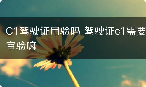 C1驾驶证用验吗 驾驶证c1需要审验嘛