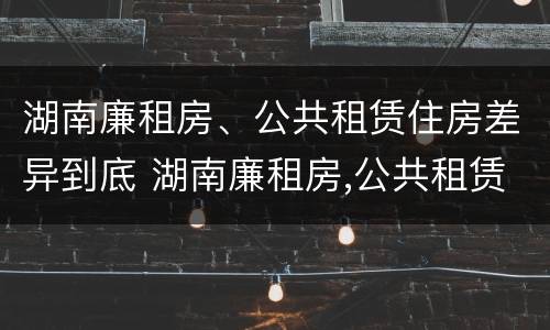 湖南廉租房、公共租赁住房差异到底 湖南廉租房,公共租赁住房差异到底多大