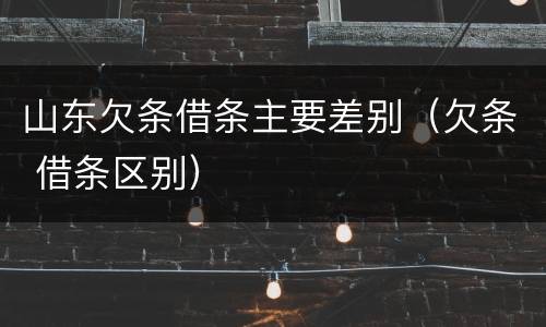 山东欠条借条主要差别（欠条 借条区别）