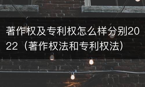 著作权及专利权怎么样分别2022（著作权法和专利权法）