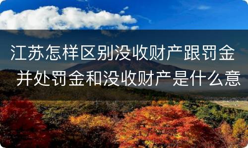 江苏怎样区别没收财产跟罚金 并处罚金和没收财产是什么意思