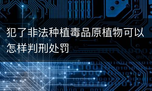 犯了非法种植毒品原植物可以怎样判刑处罚