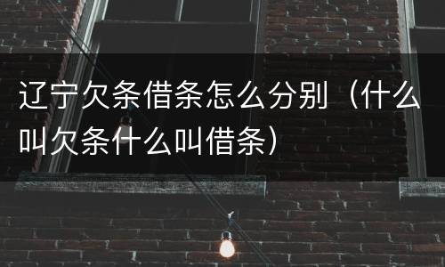 辽宁欠条借条怎么分别（什么叫欠条什么叫借条）
