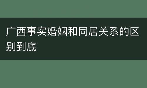 广西事实婚姻和同居关系的区别到底