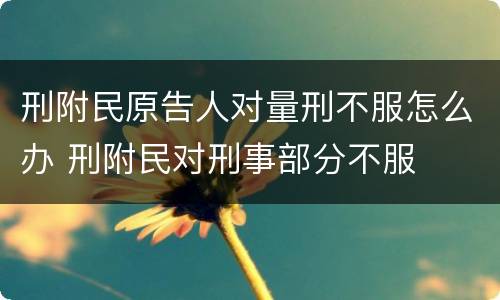 刑附民原告人对量刑不服怎么办 刑附民对刑事部分不服