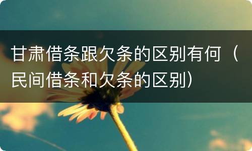 甘肃借条跟欠条的区别有何（民间借条和欠条的区别）