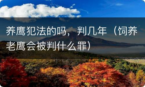 养鹰犯法的吗，判几年（饲养老鹰会被判什么罪）